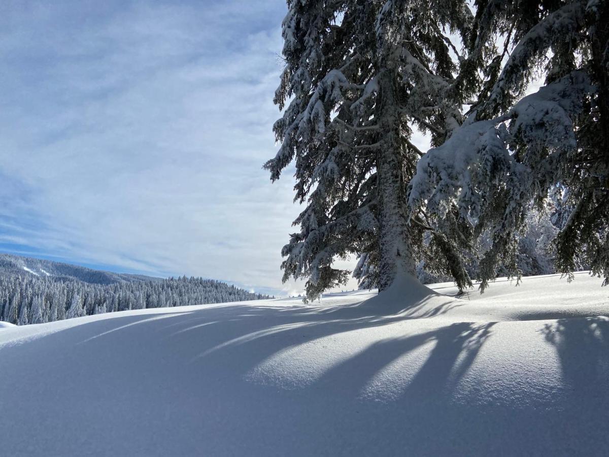 Plenouze Apartment Autrans-Meaudre-en-Vercors Bagian luar foto
